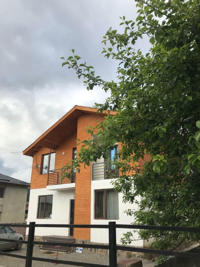 N1 Cottage In Бакуриани Экстерьер фото